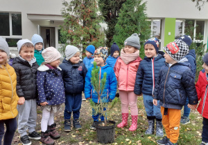 Dzieci z grupy II przy nowym drzewku