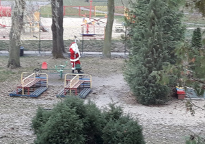 Mikołaj spaceruje po naszym ogródku