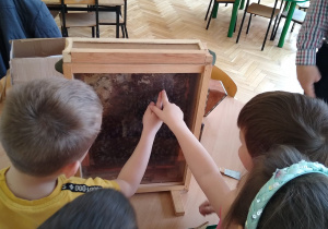 Dzieci z IV grupy i pszczółki.