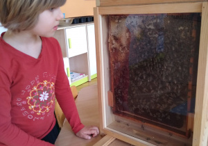 Danusia obserwuje pszczółki.