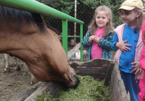 Dziewczynki karmiły przywiezioną trawą konie.