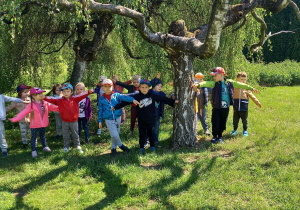 Przedszkolaki spotkały bardzo ciekawe okazy drzew.