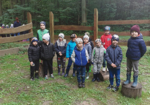 Dzieci z grupy IV na leśnej polanie