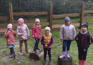 Dziewczynki z grupy IV na leśnej polanie