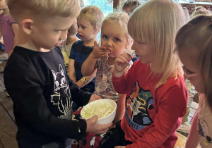 Maluszki częstują się świeżo poszatkowana kapustą