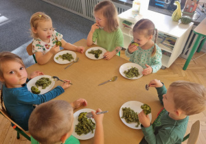 Zielony obiadek maluszków