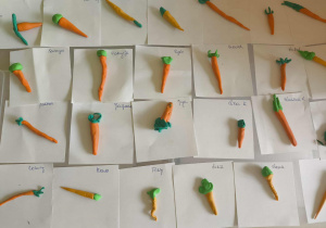 Marchewki starszaków