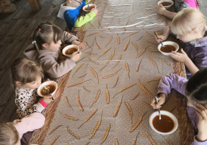 Pomidorówka - gr. III