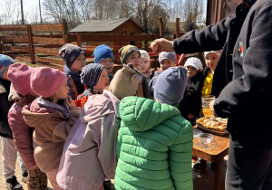 Gr. IV ogląda rózne jajka