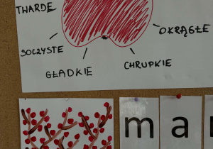 Starszaki określały cechy jabłka